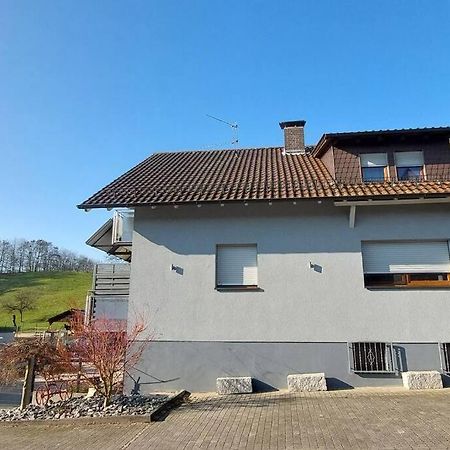 Grosse Tolle 4 Zimmer Ferienwohnung Im Herzen Des Odenwaldes Mörlenbach Dış mekan fotoğraf