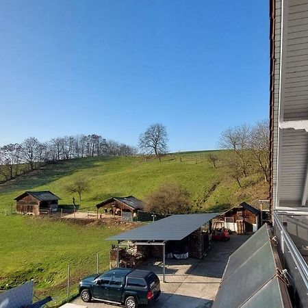 Grosse Tolle 4 Zimmer Ferienwohnung Im Herzen Des Odenwaldes Mörlenbach Dış mekan fotoğraf
