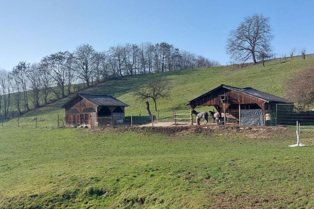 Grosse Tolle 4 Zimmer Ferienwohnung Im Herzen Des Odenwaldes Mörlenbach Dış mekan fotoğraf