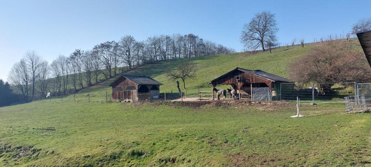 Grosse Tolle 4 Zimmer Ferienwohnung Im Herzen Des Odenwaldes Mörlenbach Dış mekan fotoğraf