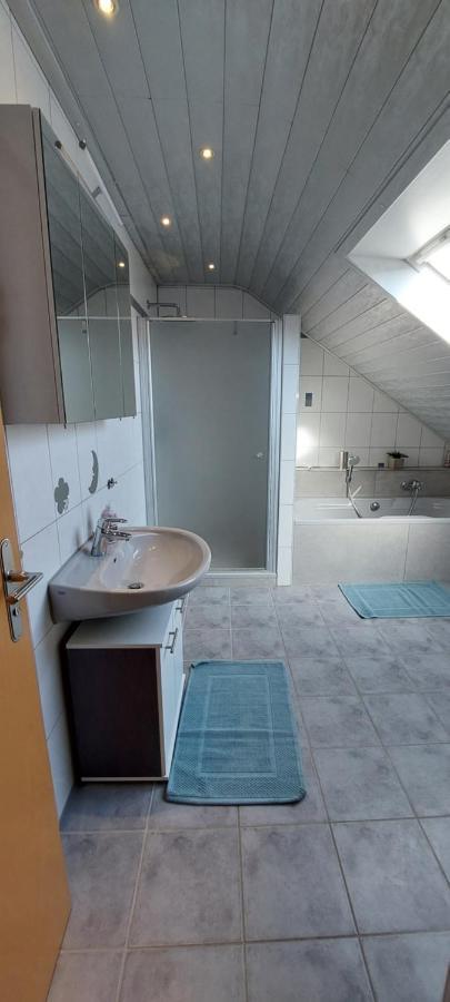 Grosse Tolle 4 Zimmer Ferienwohnung Im Herzen Des Odenwaldes Mörlenbach Dış mekan fotoğraf